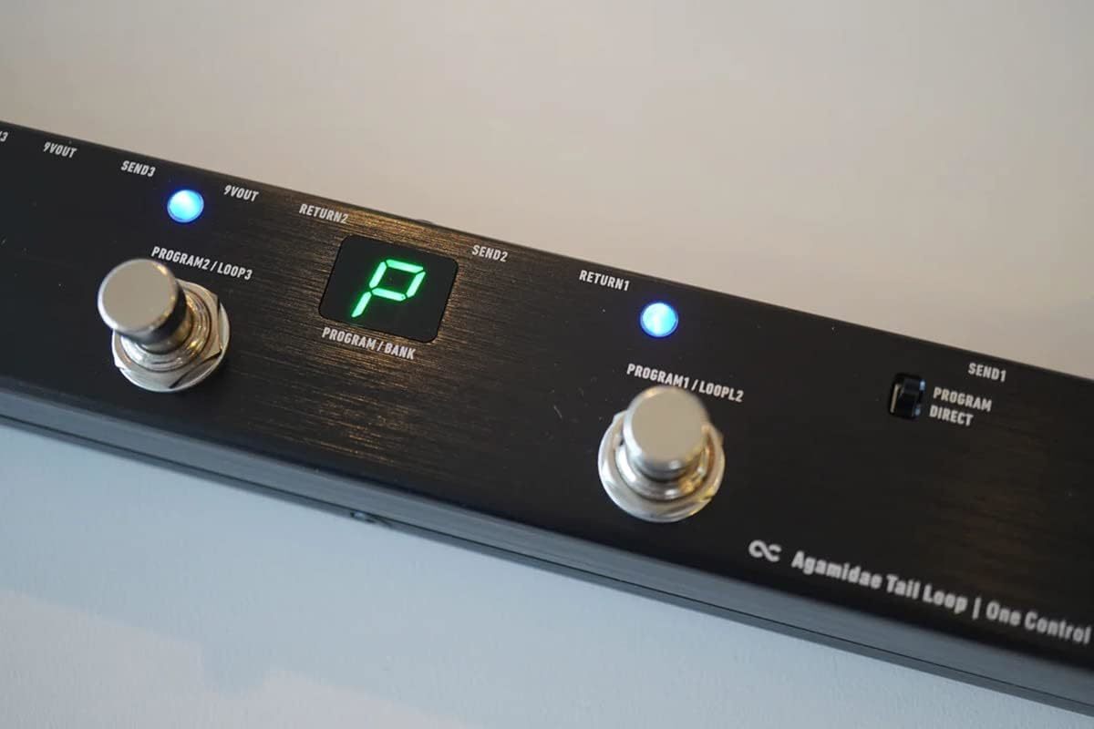 One Control Agamidae Tail Loop Programmable Switcher