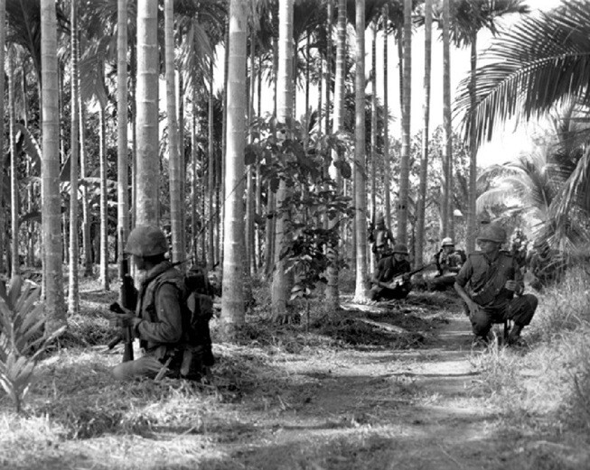Soldiers conduct a search and sweep mission 8x10 Vietnam War on patrol Photo 812