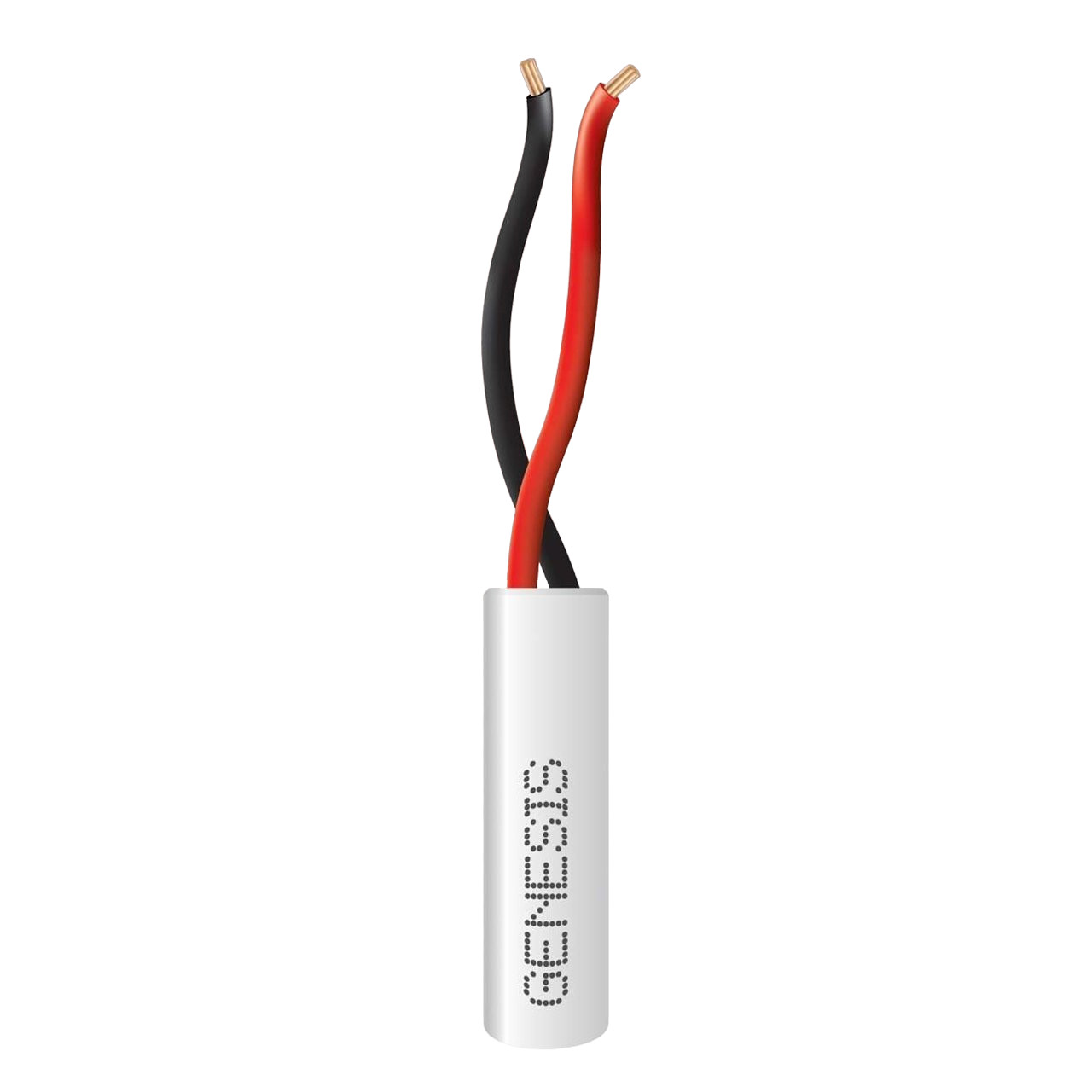 GENESIS 21025801