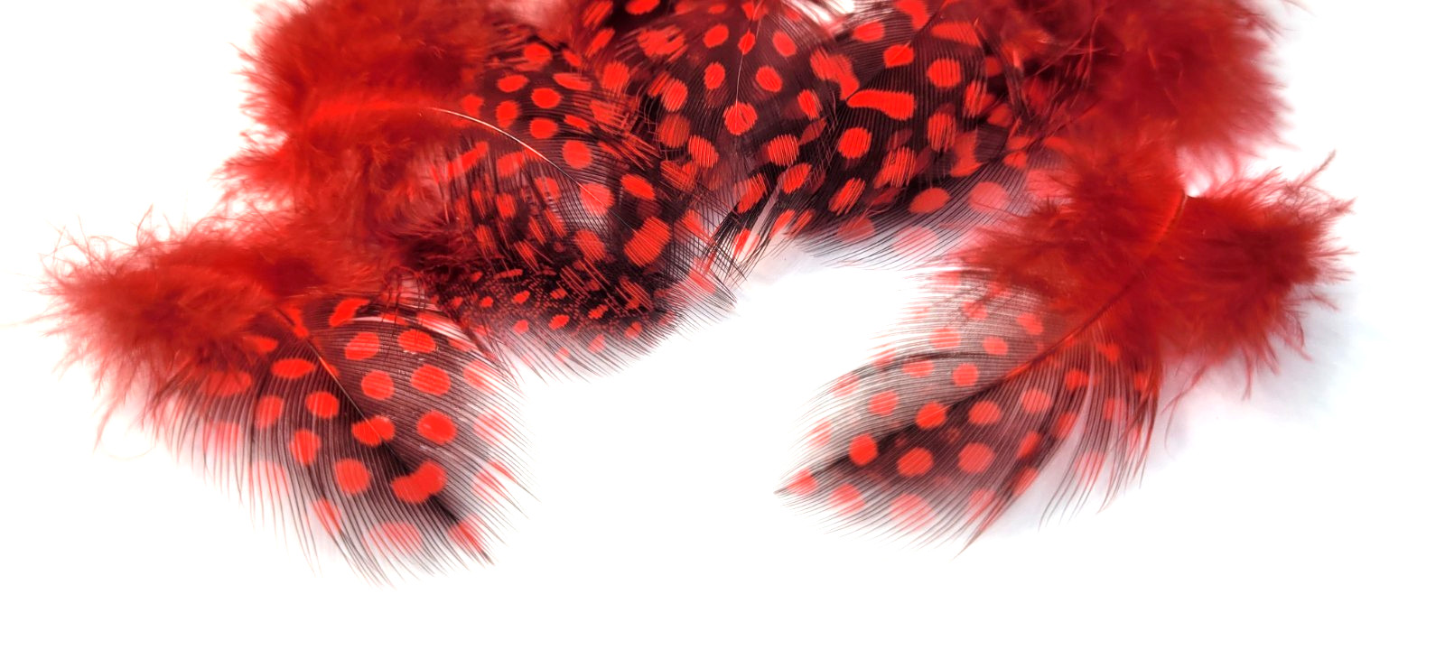 SMALL GUINEA FOWL FEATHERS - 2-3INCHES - RED - YELLOW - Fly Tying Materials