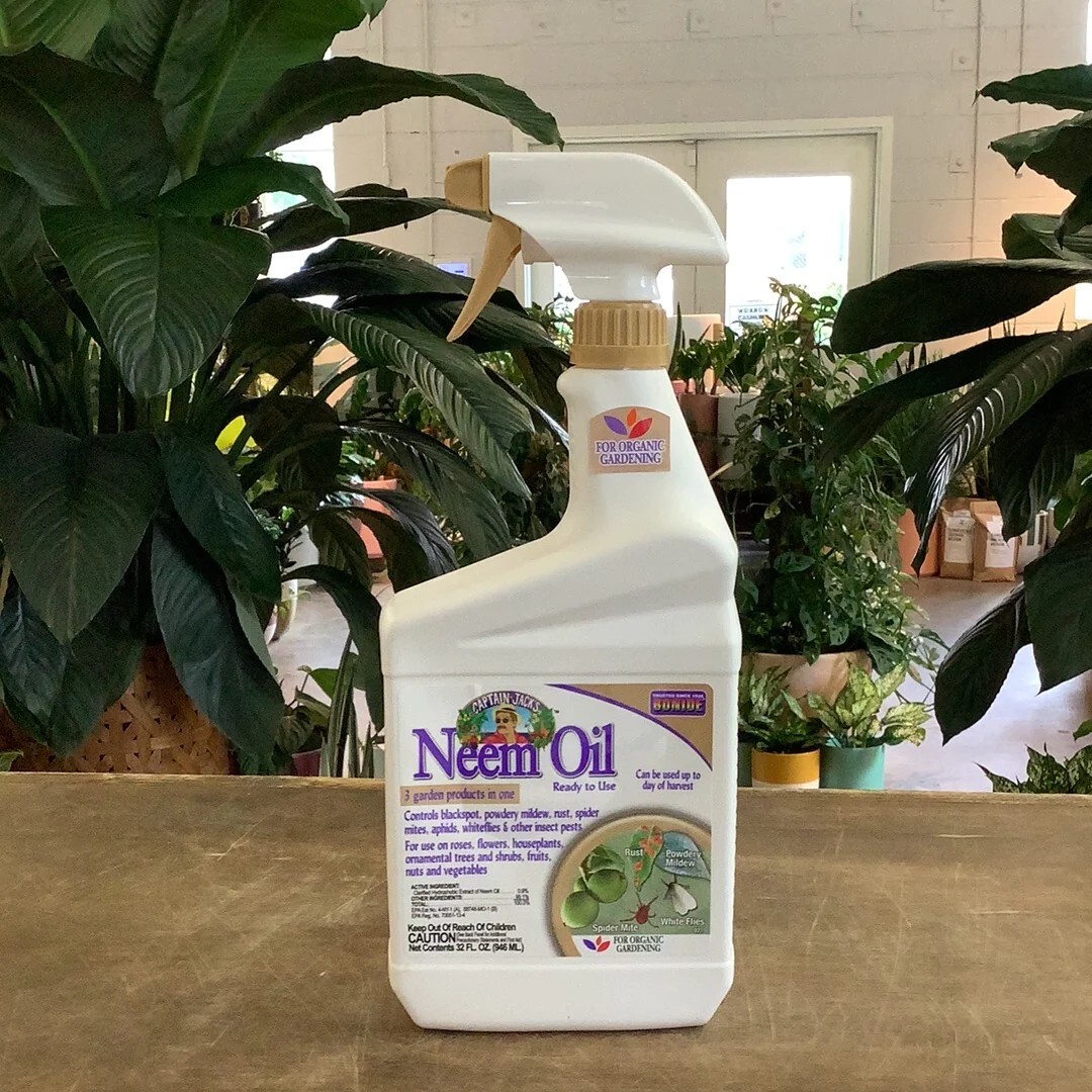 Bonide Neem Oil Spray Ready to use organic 3 in 1 fungicide Miticide Insecticide