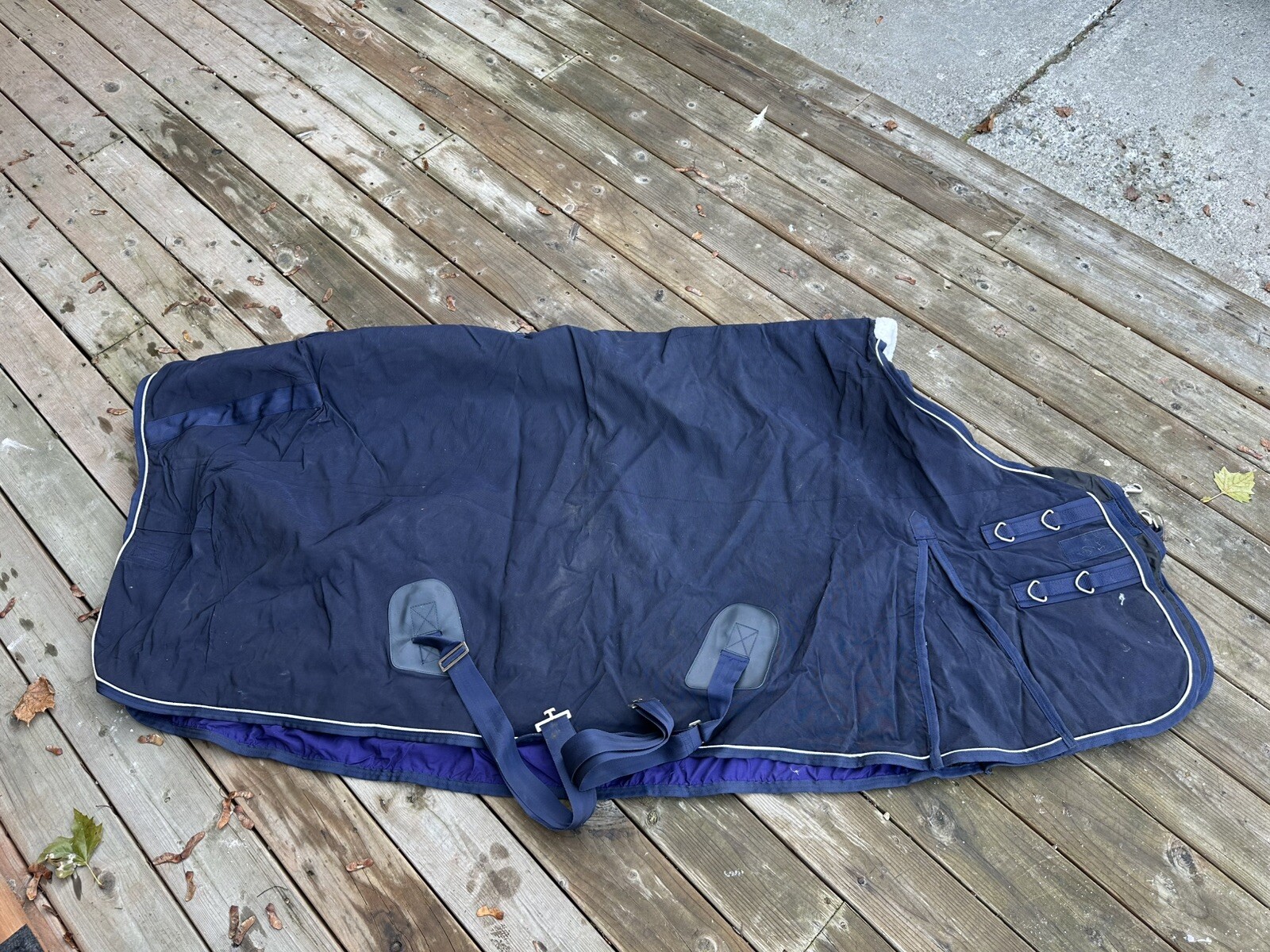Horse Tack - 80” - 82” Dover Waterproof Turnout Sheet
