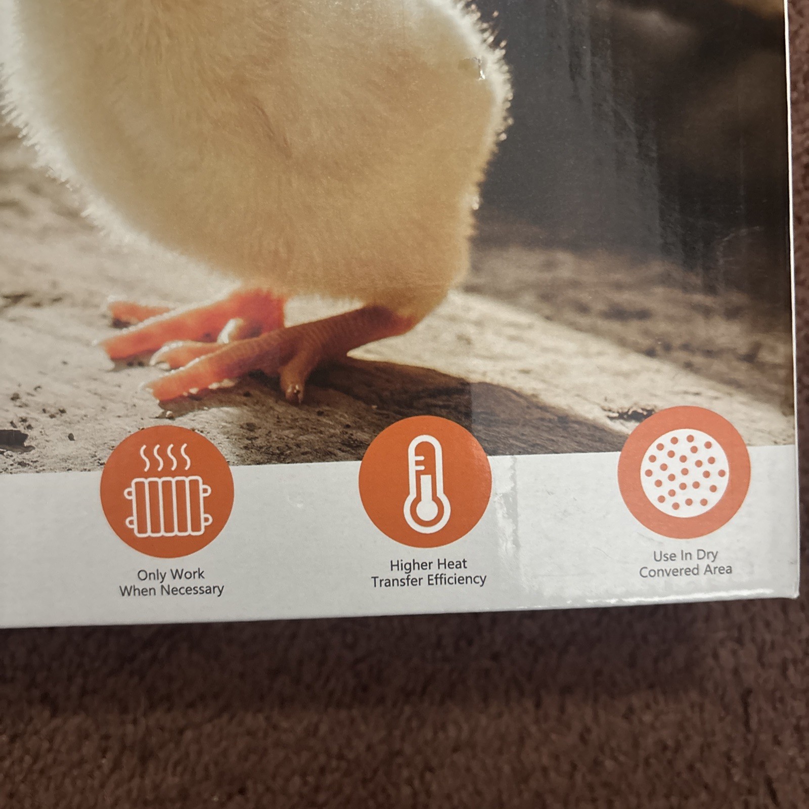 Chick Brooder Heater Plate – 12" x 8"
