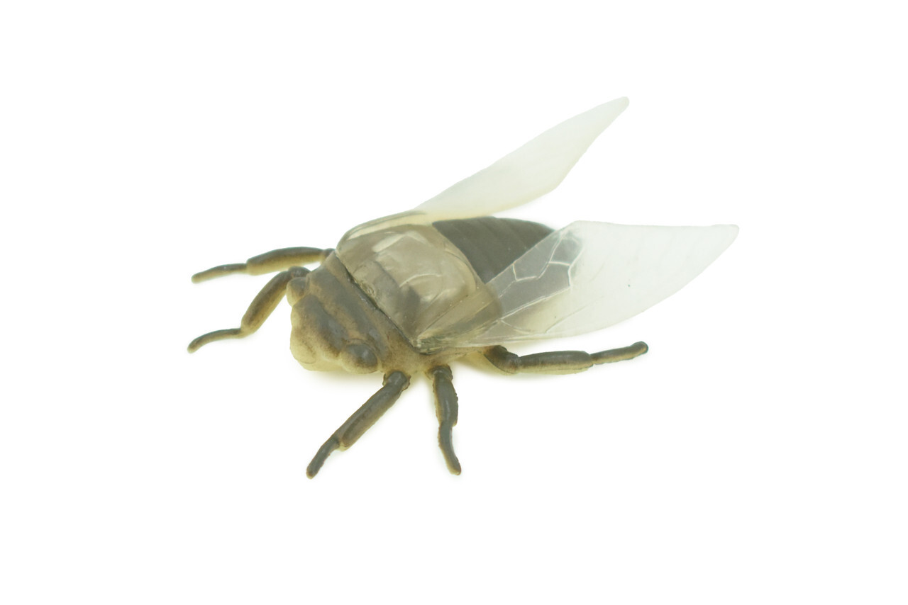 Fly, Housefly Toy, Rubber Insect, Bug, Realistic Hand Painted Model, 2" US22 B44