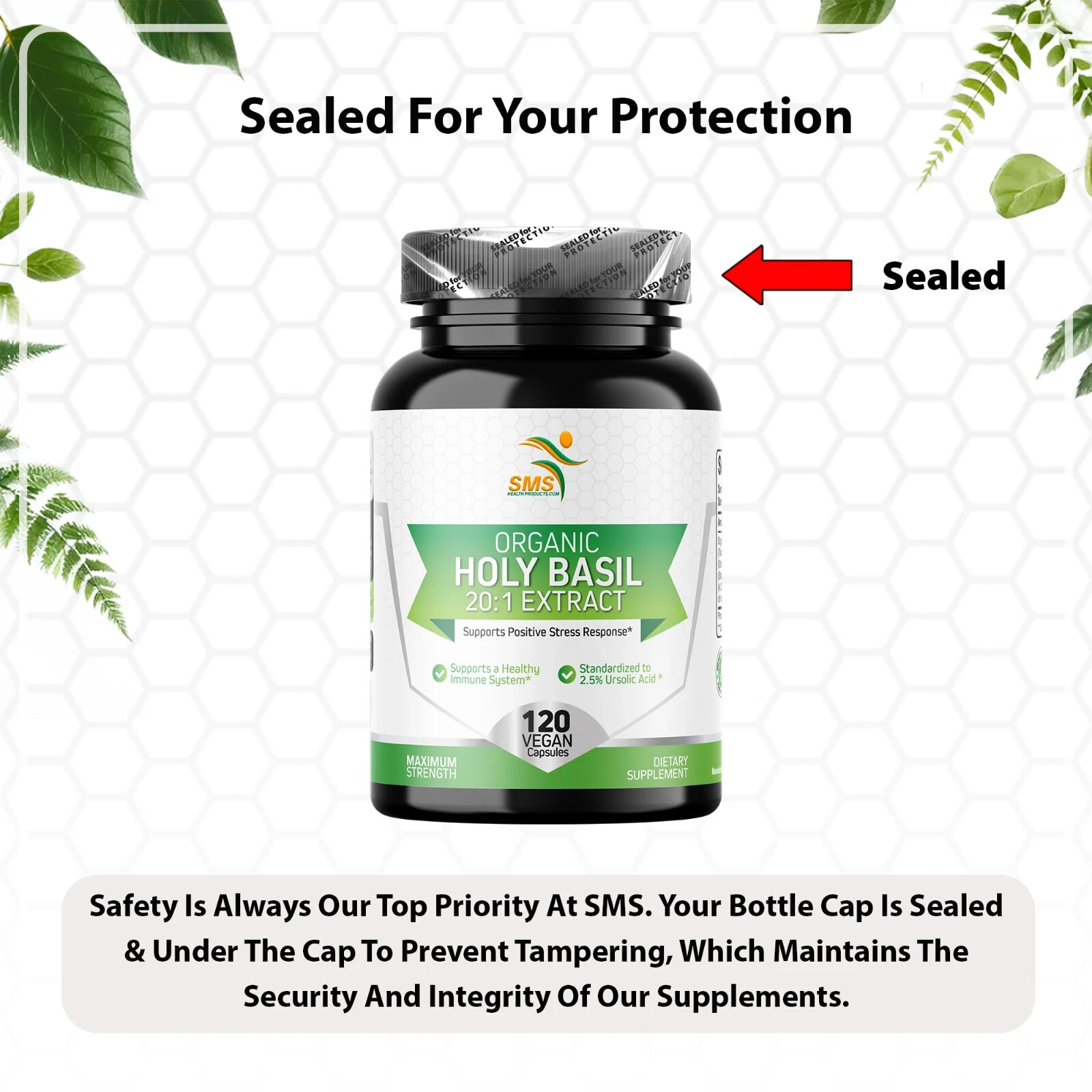 Holy Basil 20:1 Extract 2.5% Ursolic Acid Organic 120 Veg Capsules Made in USA