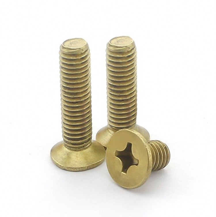 Select Size M8 M10 M12 Solid Brass Phillips Flat Head Screws [M_M_S]