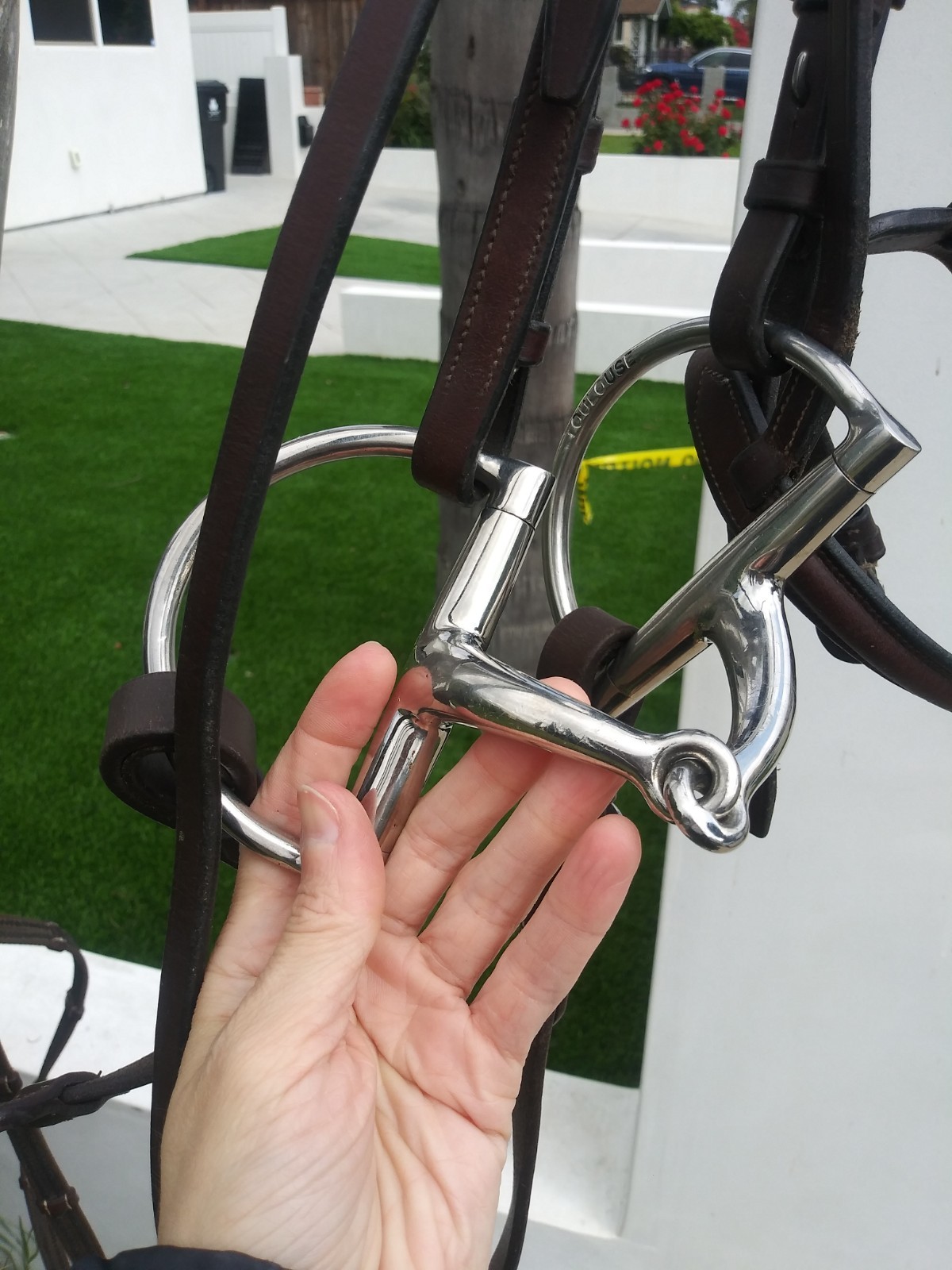 M Toulouse Hunter D-Ring Bit 5 Inch