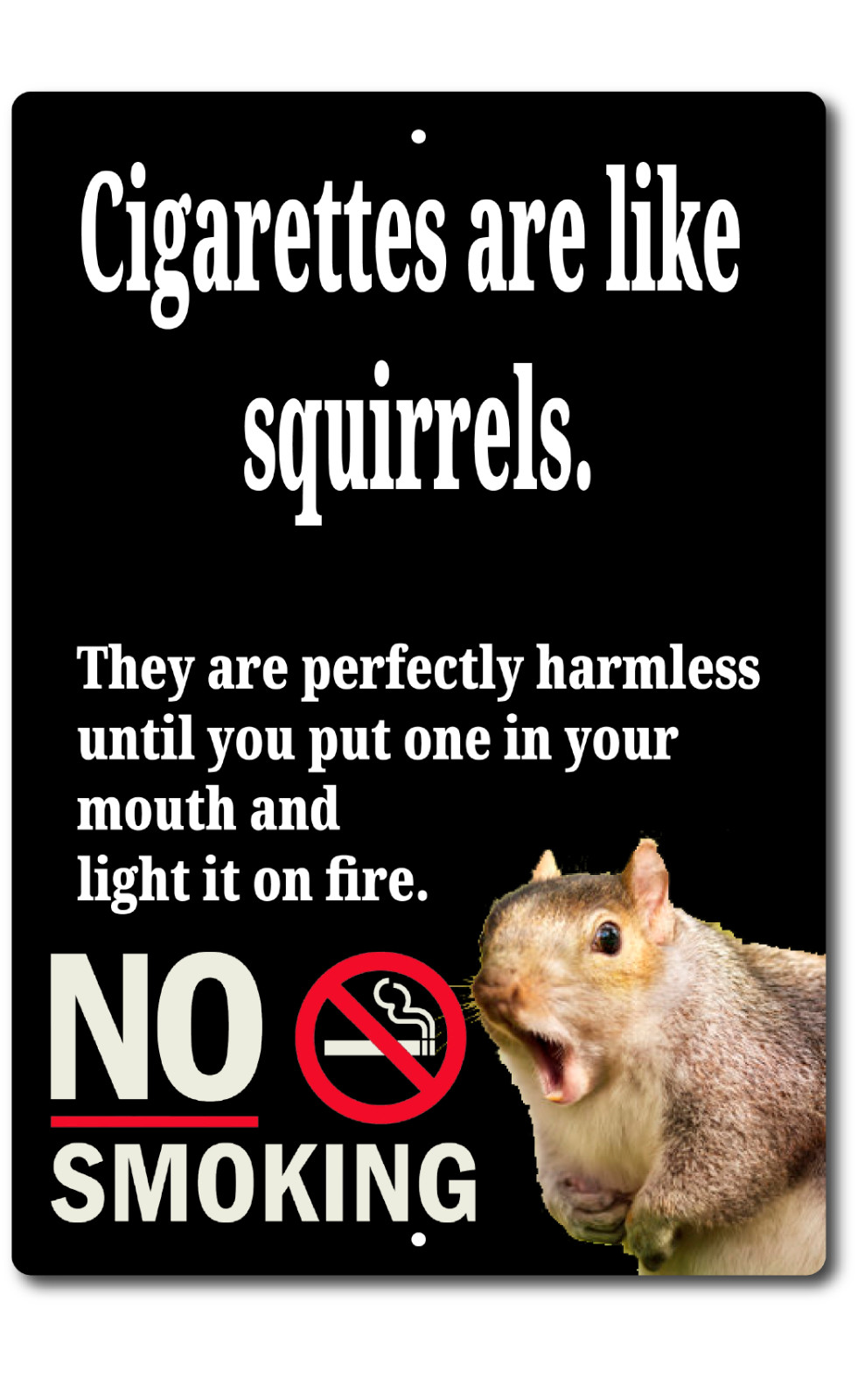 Funny  No Smoking Cigarettes Are Like  Squirrels 8x12 Metal Wall Sign Garage Out
