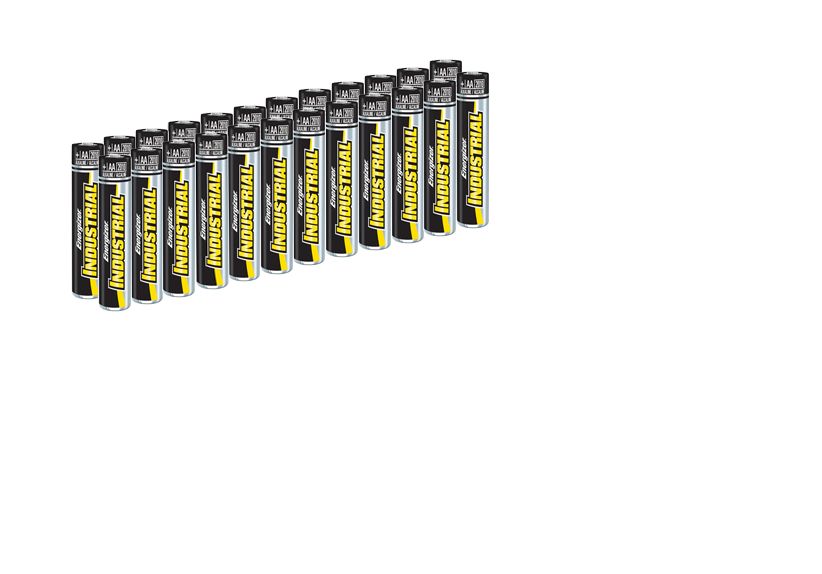 Energizer EN91 Alkaline Battery (Pack of 24)