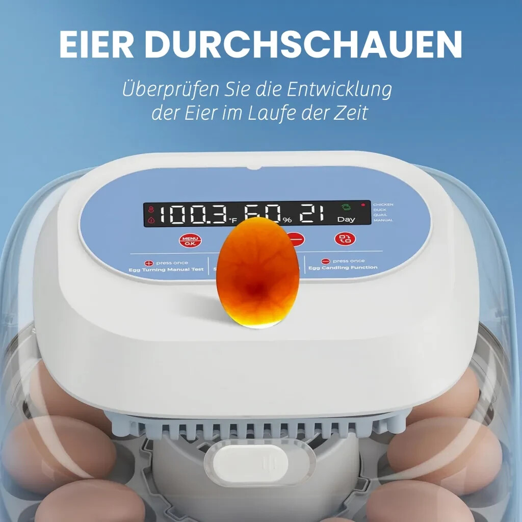 12 Eggs Incubator Automatic Turning Chicken Digital Incubators for Hatching Eggs