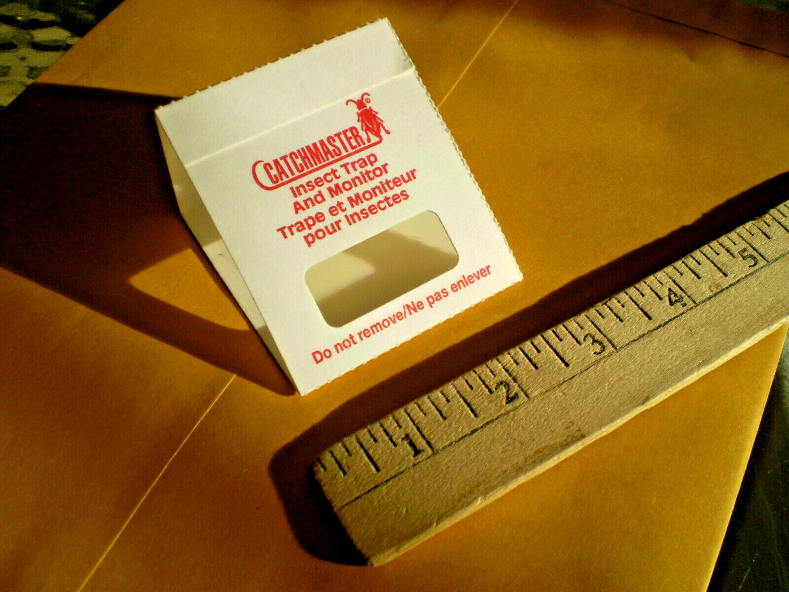 Insect Bug Roach Brown Recluse Spider Centipede Sticky Trap Qty 150 (Half Box)