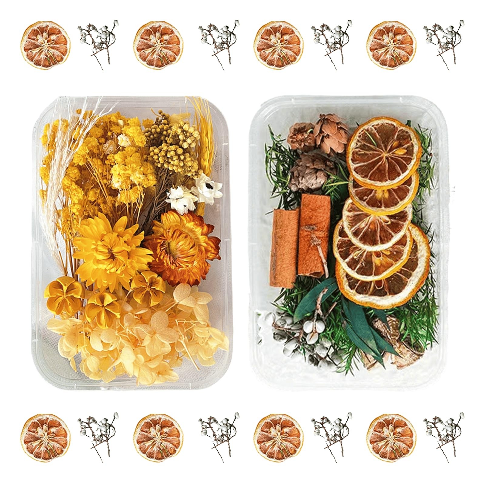 2 PCS Style6_10 Natural Dried Flowers Kit DIY Crafts Scrapbook Card Making