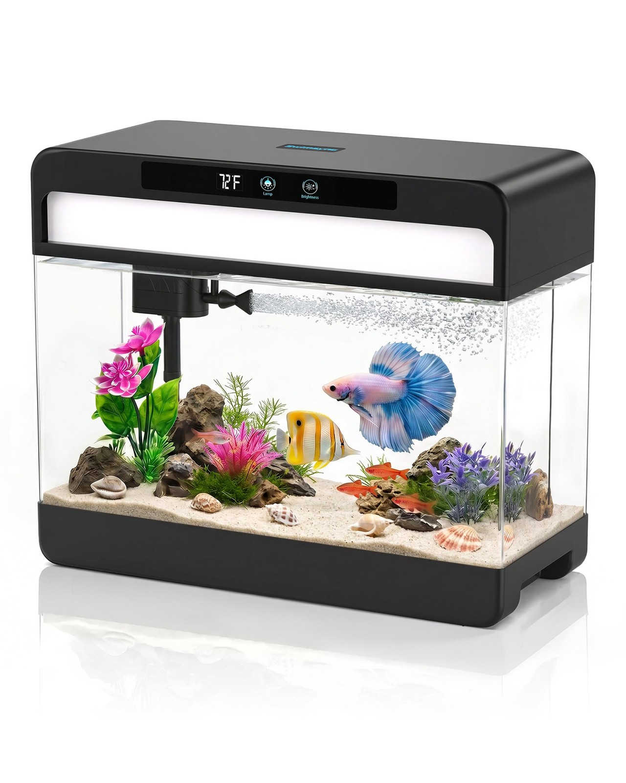 Swimsync 3 Gallon Fish Tank Starter Kit, Small Aquarium for Betta, Black
