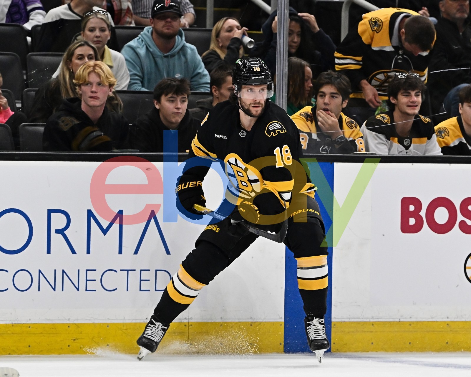 Pavel Zacha Mid Game Action Boston Bruins 8x10 NHL Hockey Photo