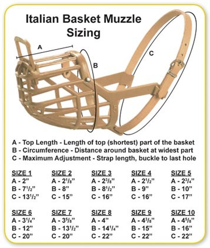 Italian Basket Dog Muzzle Adjustable Plastic Breathable No Bite Training Mask