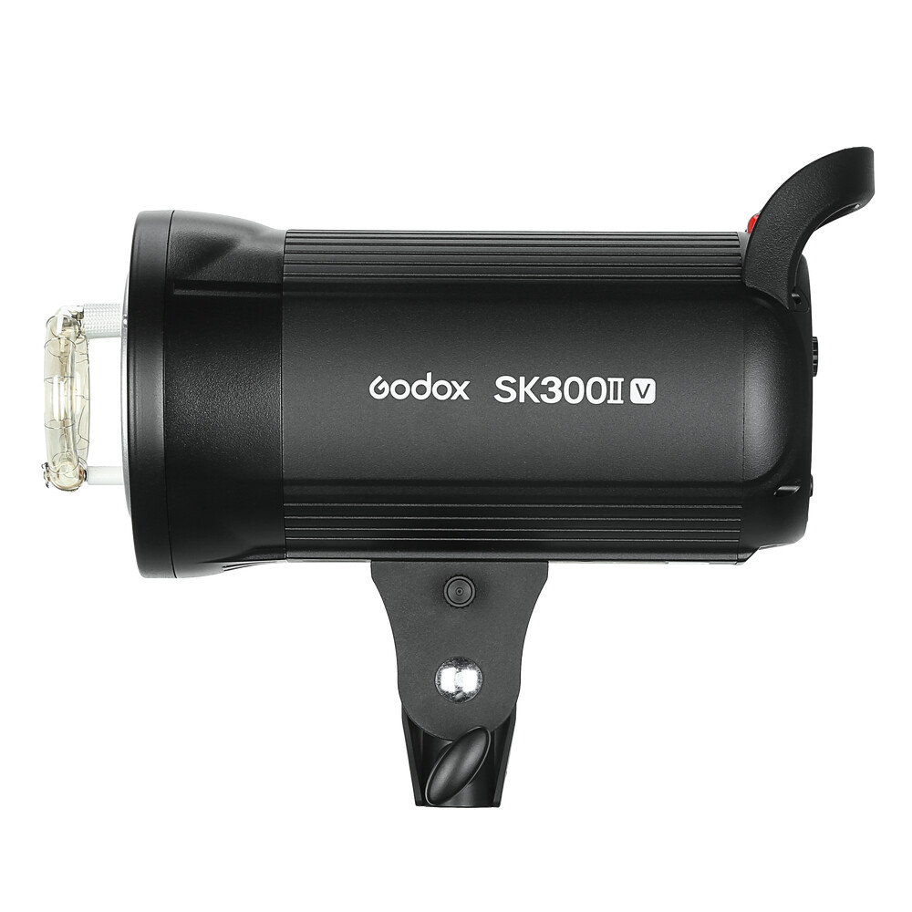 Godox SK300II-V Studio Strobe Flash with Reflector+60*90cm Grid Softbox+2M Stand