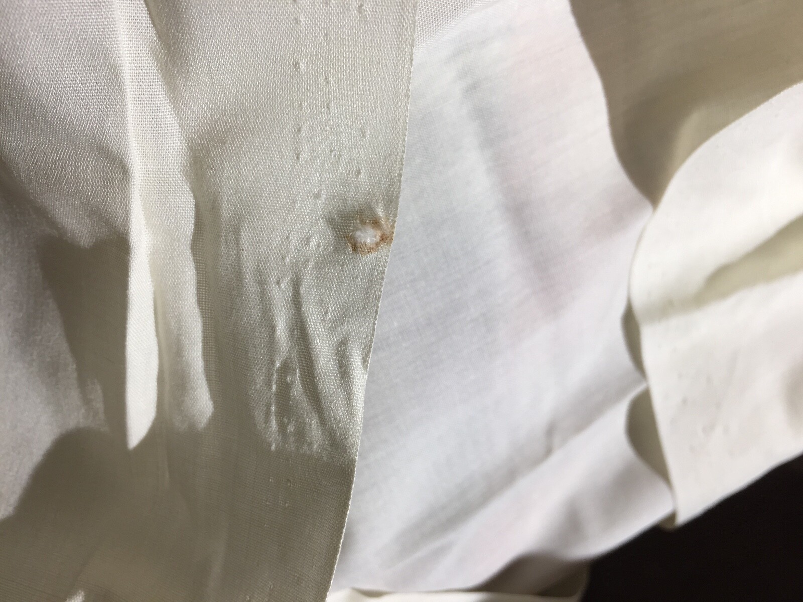 2 embroidered pillowcases beige scallop edge pocket closure standard