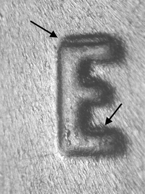 2023 P WDDR-031 Strong Ch/Gem BU Uncirculated Doubled Die Jefferson Nickel