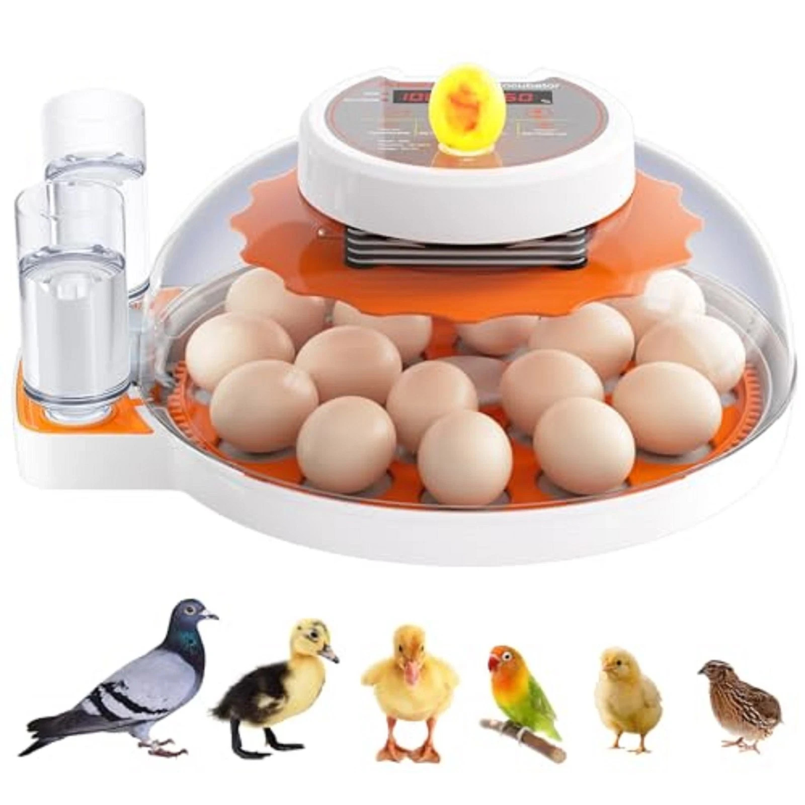 Incubadora De Huevos Automatica Para Huevos De Pato Gallina Codorniz 18 Huevos
