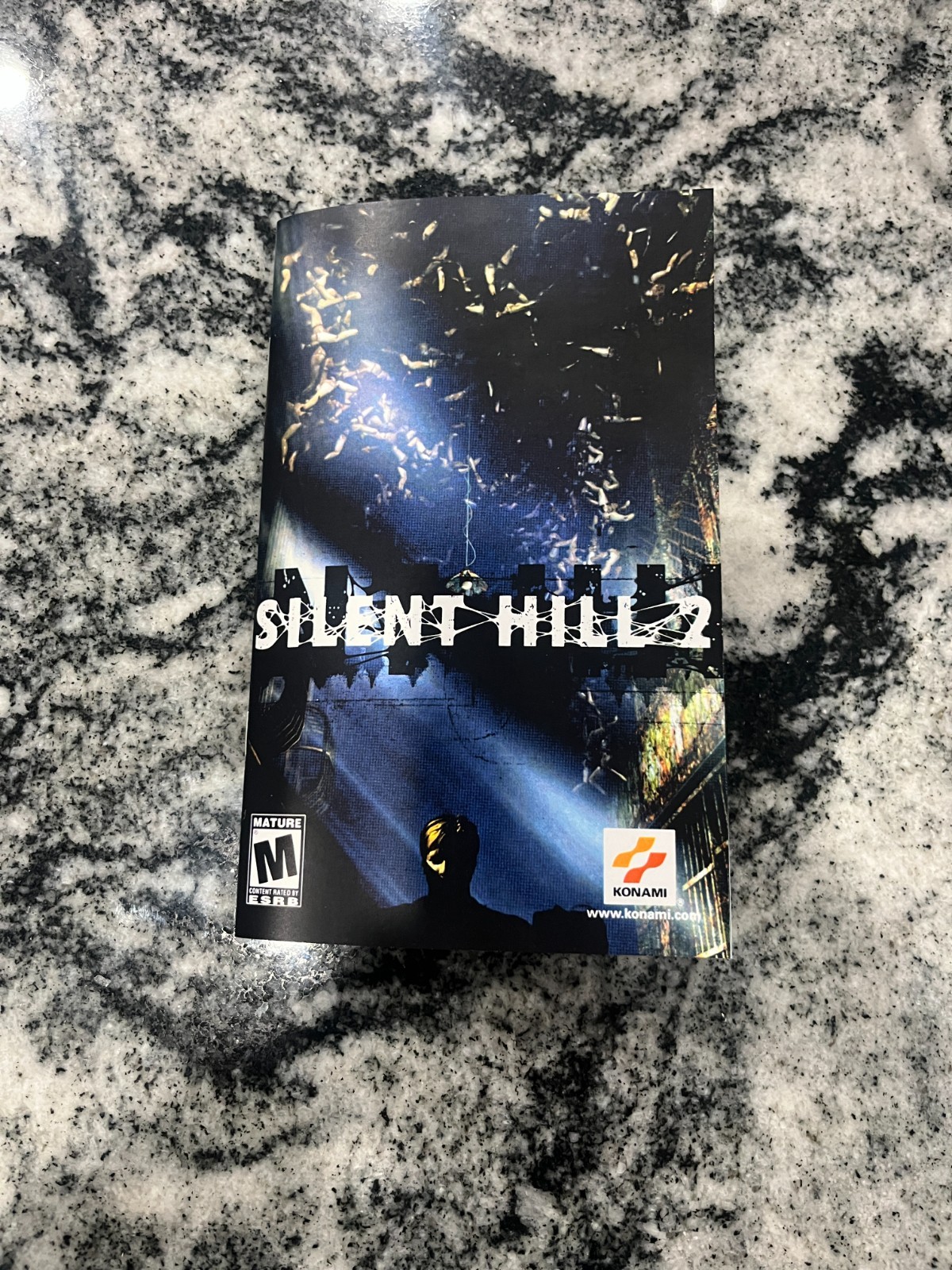 Replacement Manual for - Silent Hill 2 - Sony PS2 Instruction Booklet