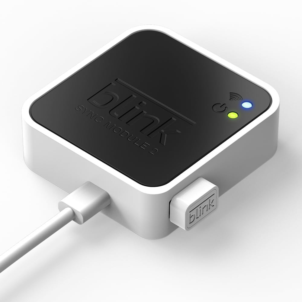 USB Flash Drive for Local Video Storage with Sync Module 2