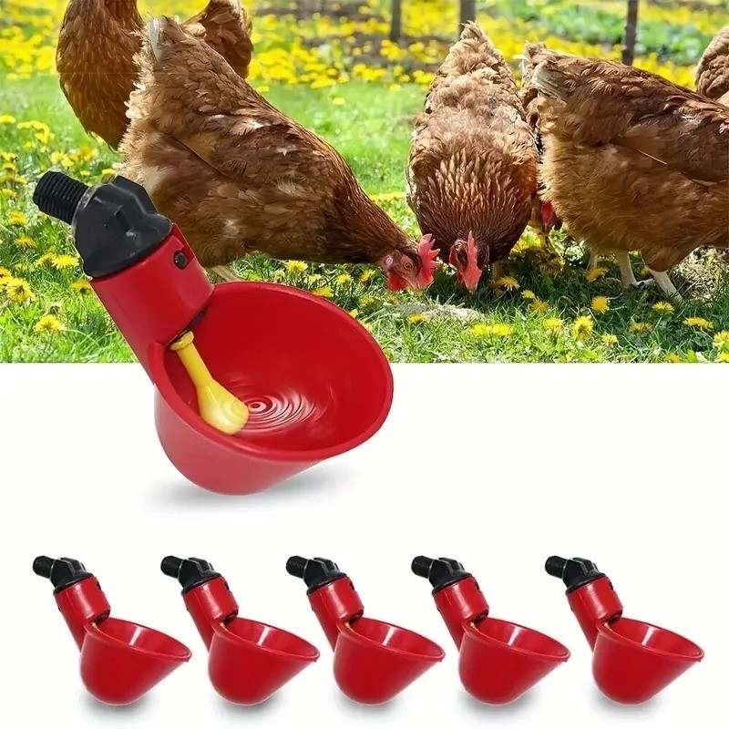 5/10 Automatic Cup Water Feeder Drinker Chicken Waterer Poultry Chook Birds-tool