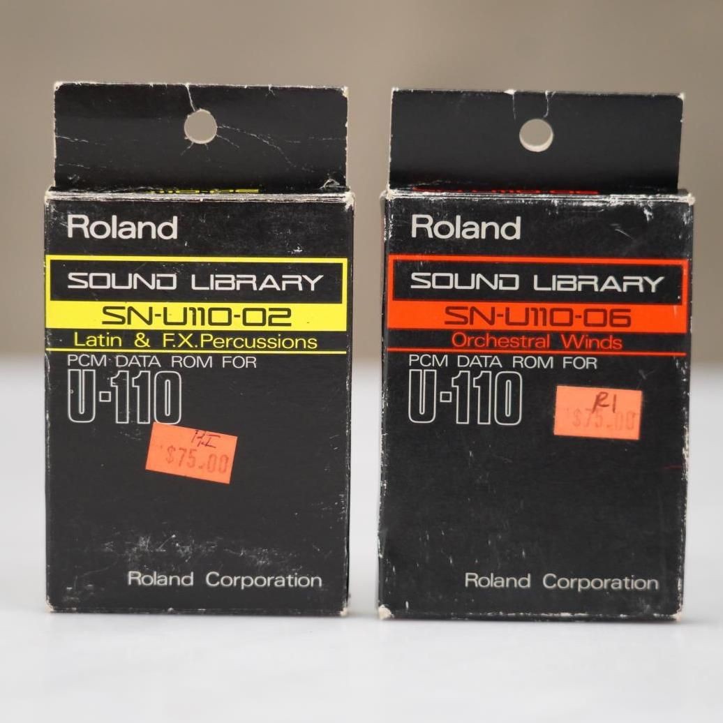 Roland SN-U110-06 & 02 Orchestral Winds Latin FX Sound Cards for U-110 #57288
