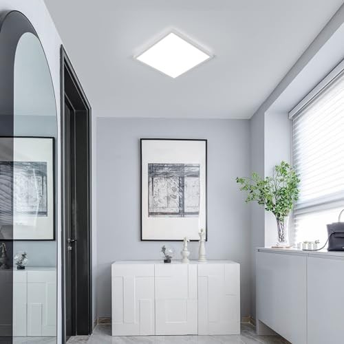 2 Pack 12 inch Flush Mount Ceiling Light, 6500K LED Ceiling 2 Pack (6500K)