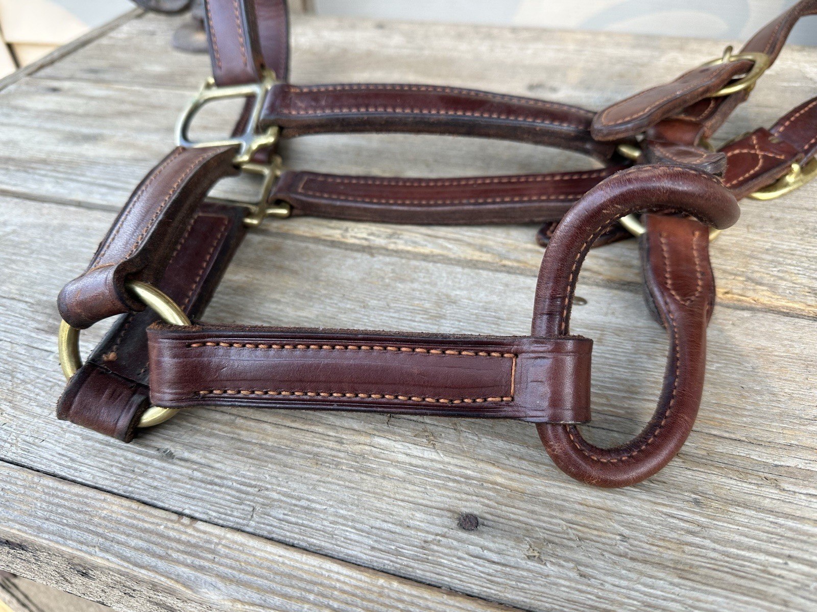 Horse Tack - Leather Track Halter