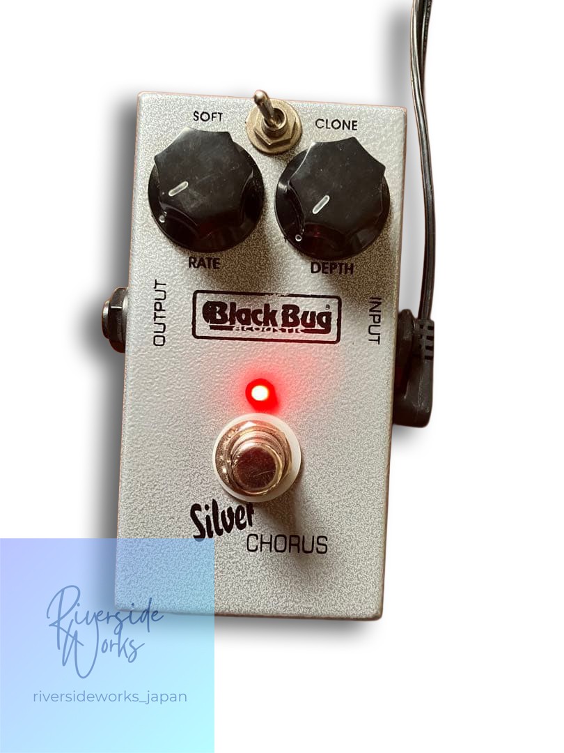 Black Bug Silver Chorus