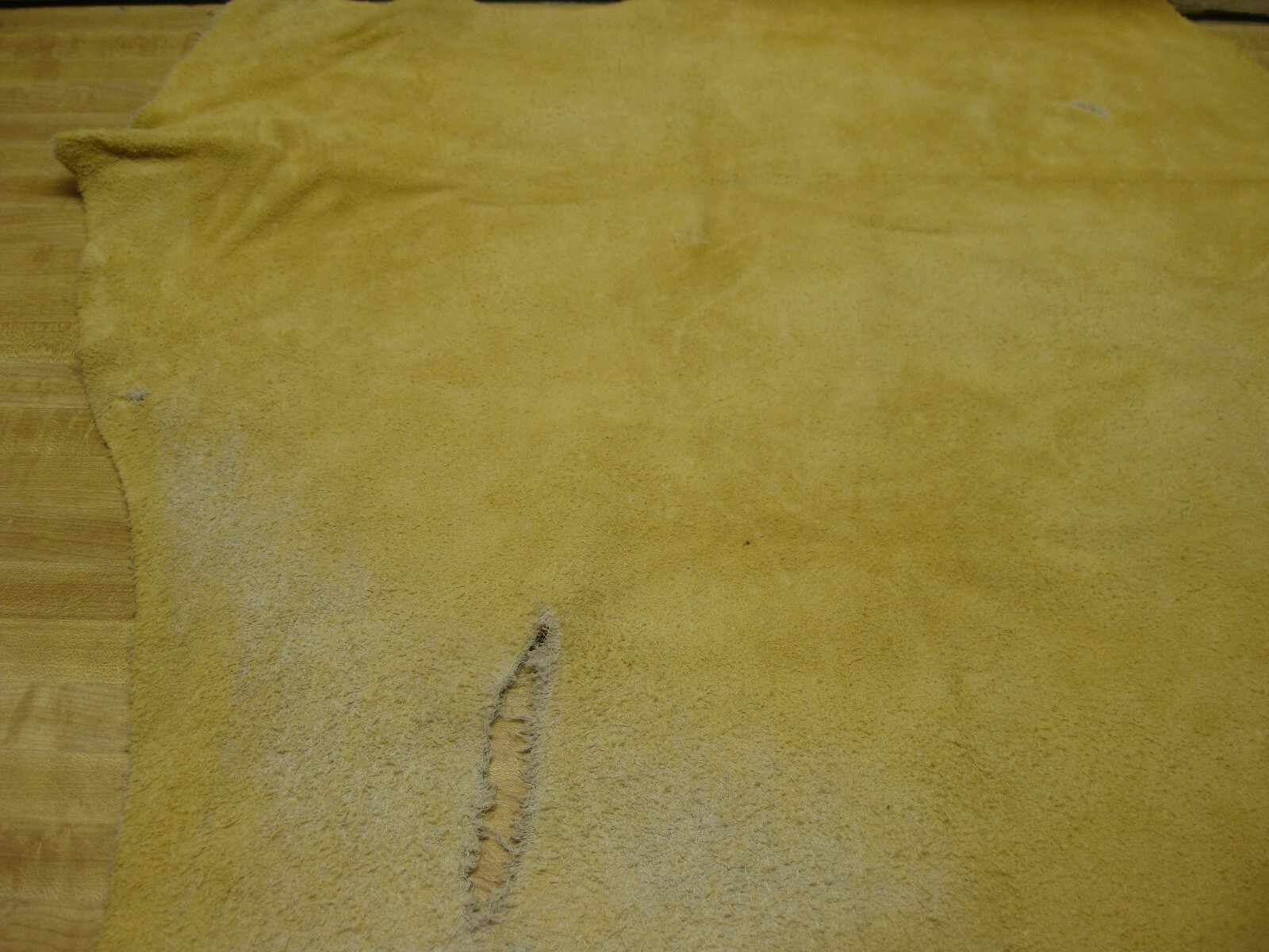 Suede Buffalo Leather Gold #0007961 R 35
