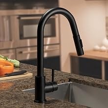 Lippert Flow Max Coiled Pull Down Kitchen Faucet for RVs and