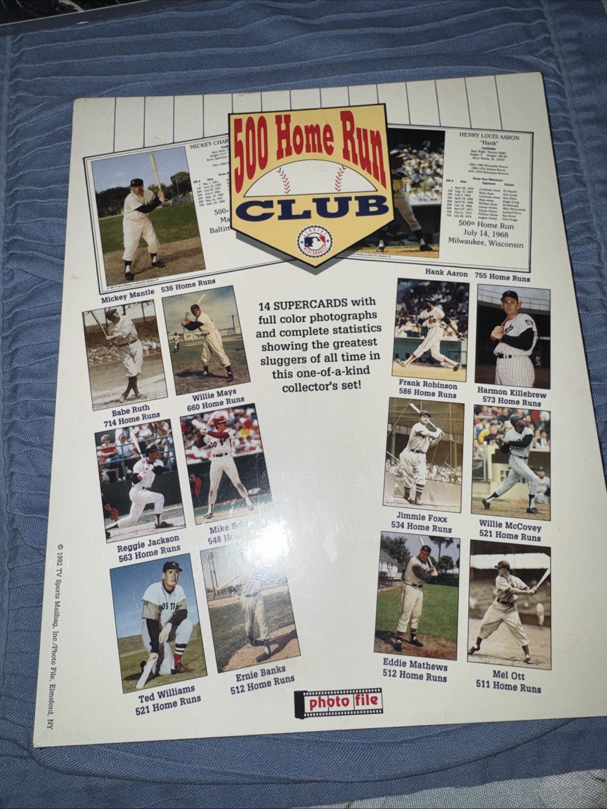 500 Home Run Club