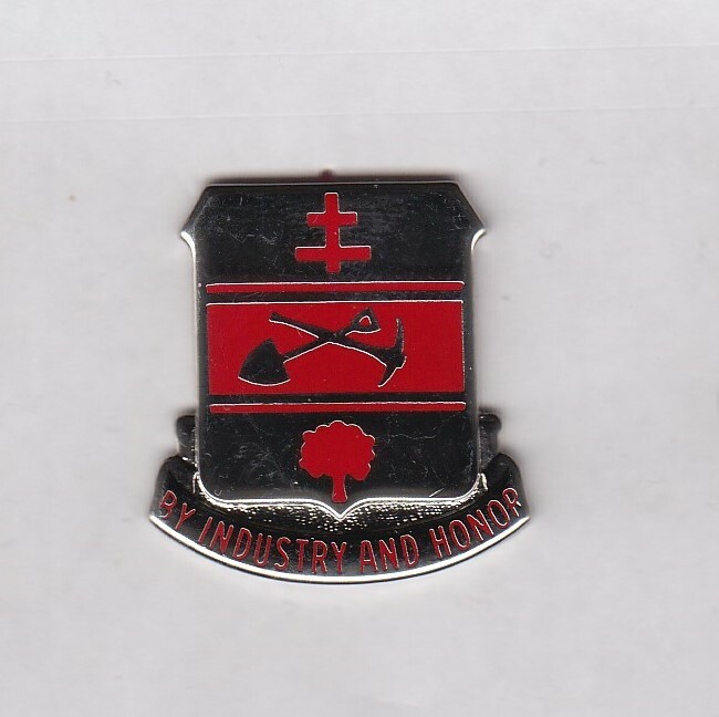 US Army 317th Engineer Battalion crest DUI badge c/b clutchback I-21