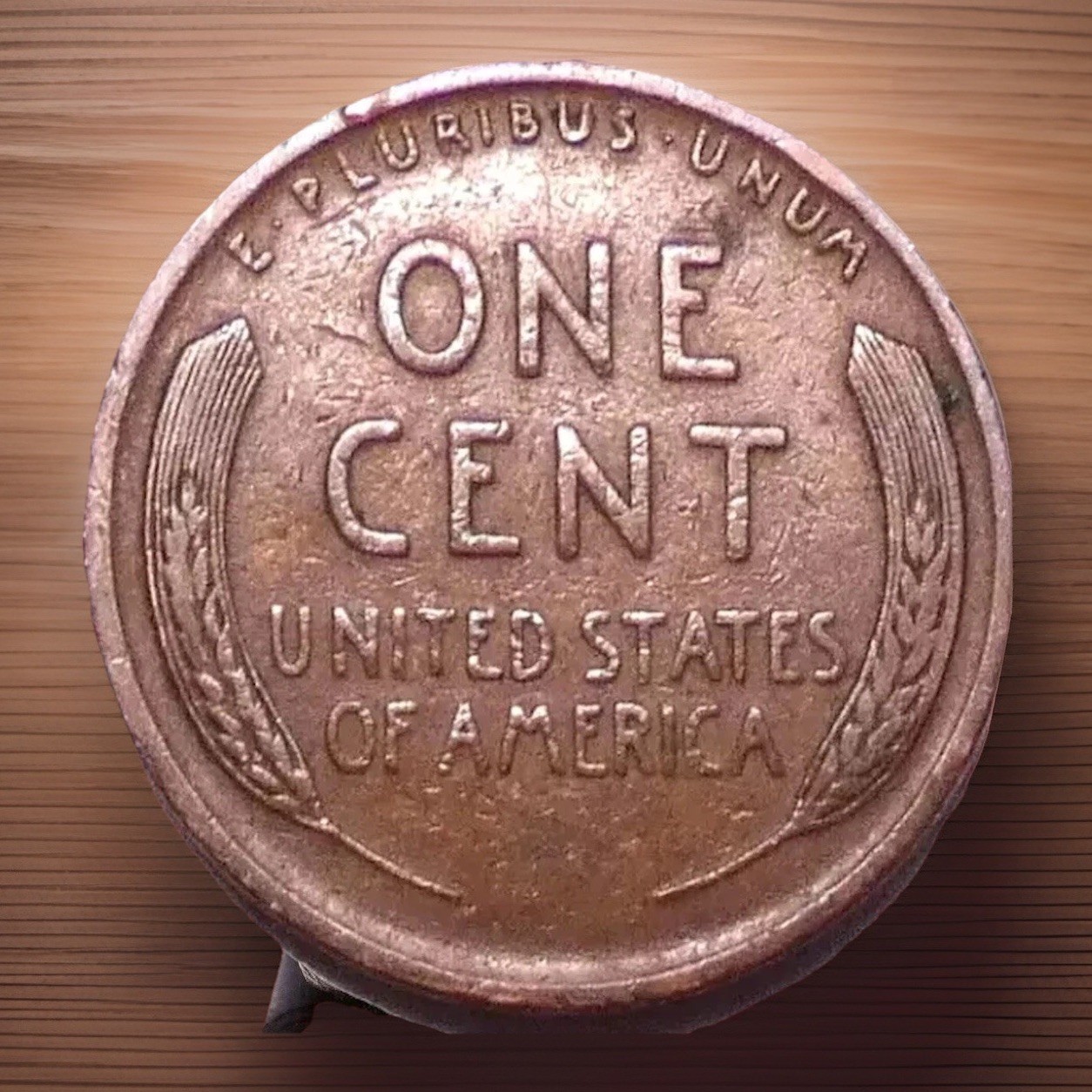 1925-P Lincoln Wheat Cent “Best Value on eBay" FAST SHIPPING