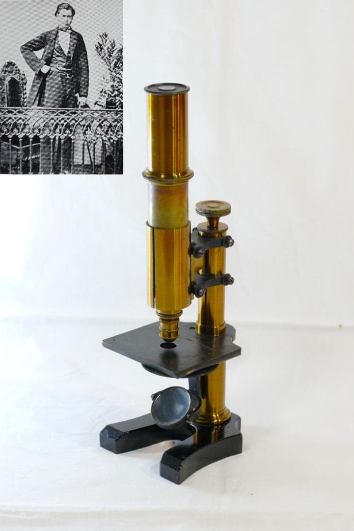 microscope antique collectible Ernst Leitz Stand V Microscope SN.1557 1873