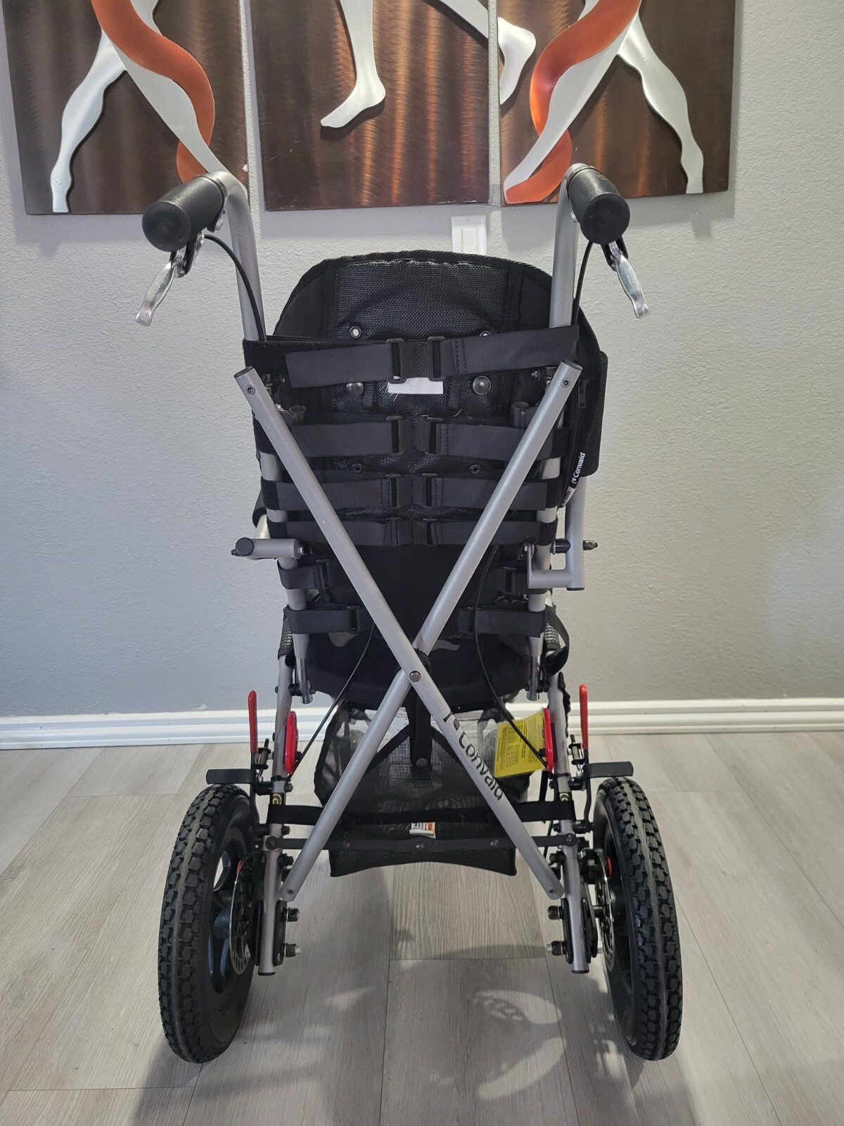 $4k Convaid Cruiser Scout All Terrain Size 12 Special Needs Stroller wheelchair