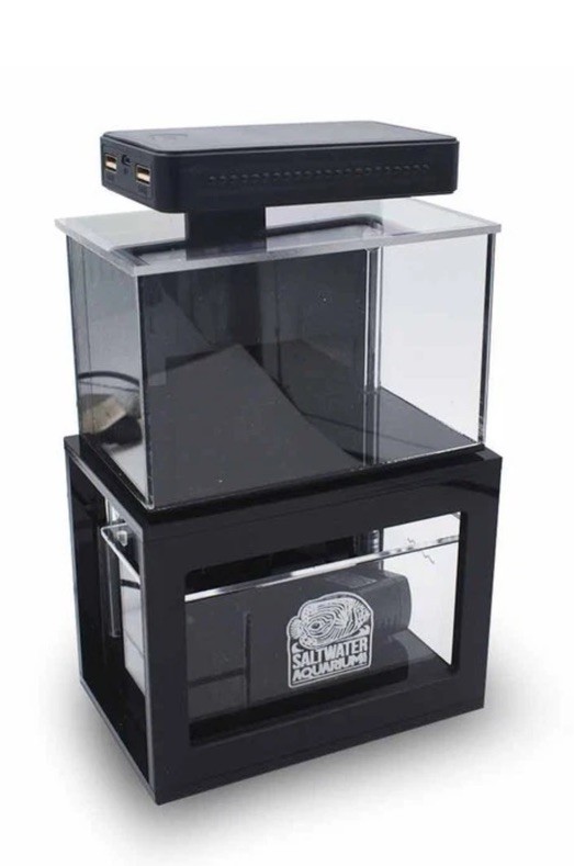 PNW Customs Micro Reef Ready Tank 40 oz (BLACK) Full Setup (ATO + Heater + More)