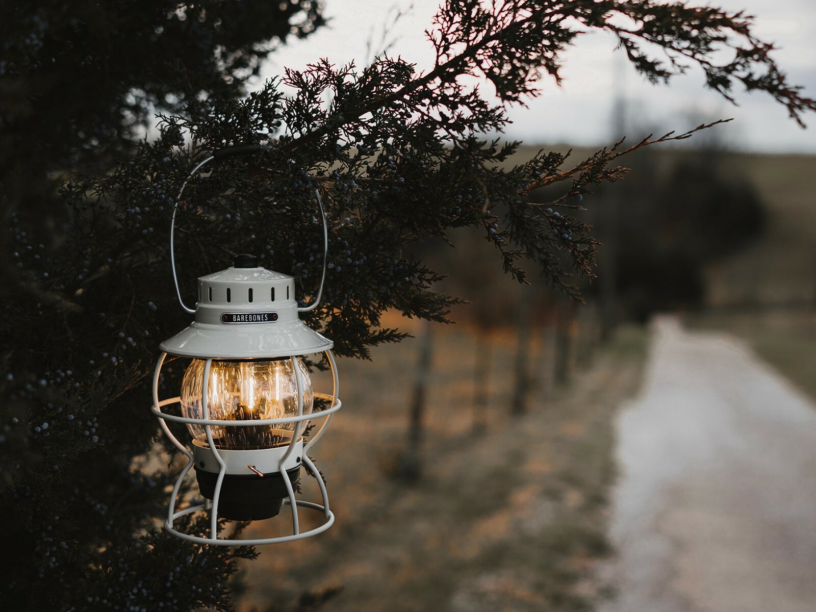 Barebones Living Railroad Lantern LED Edison-Style Bulb White Metal Construction