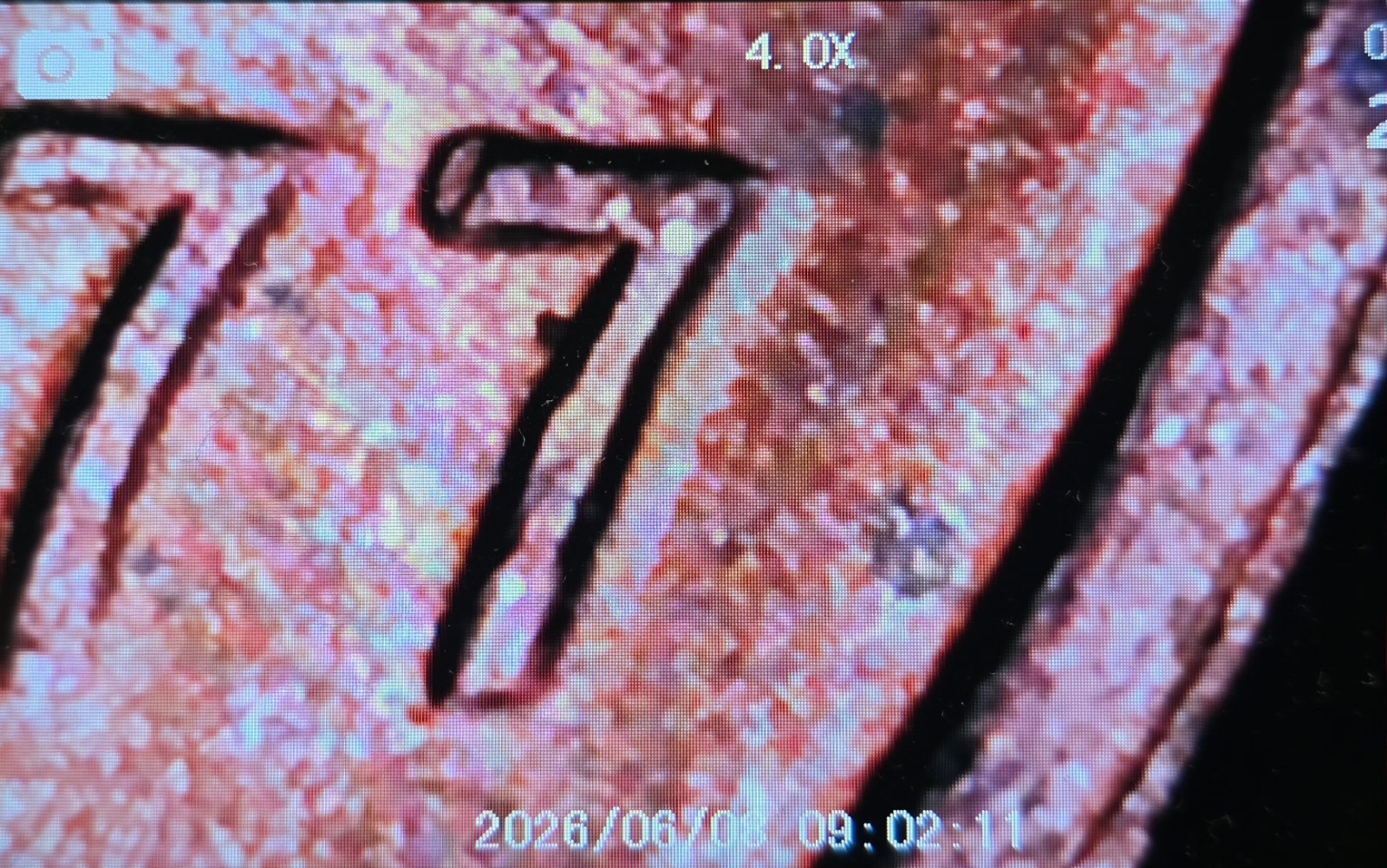 1977 Lincoln Cent 3.1g Copper Red💥Partial Double Rim Obverse & DDR Mint Errors