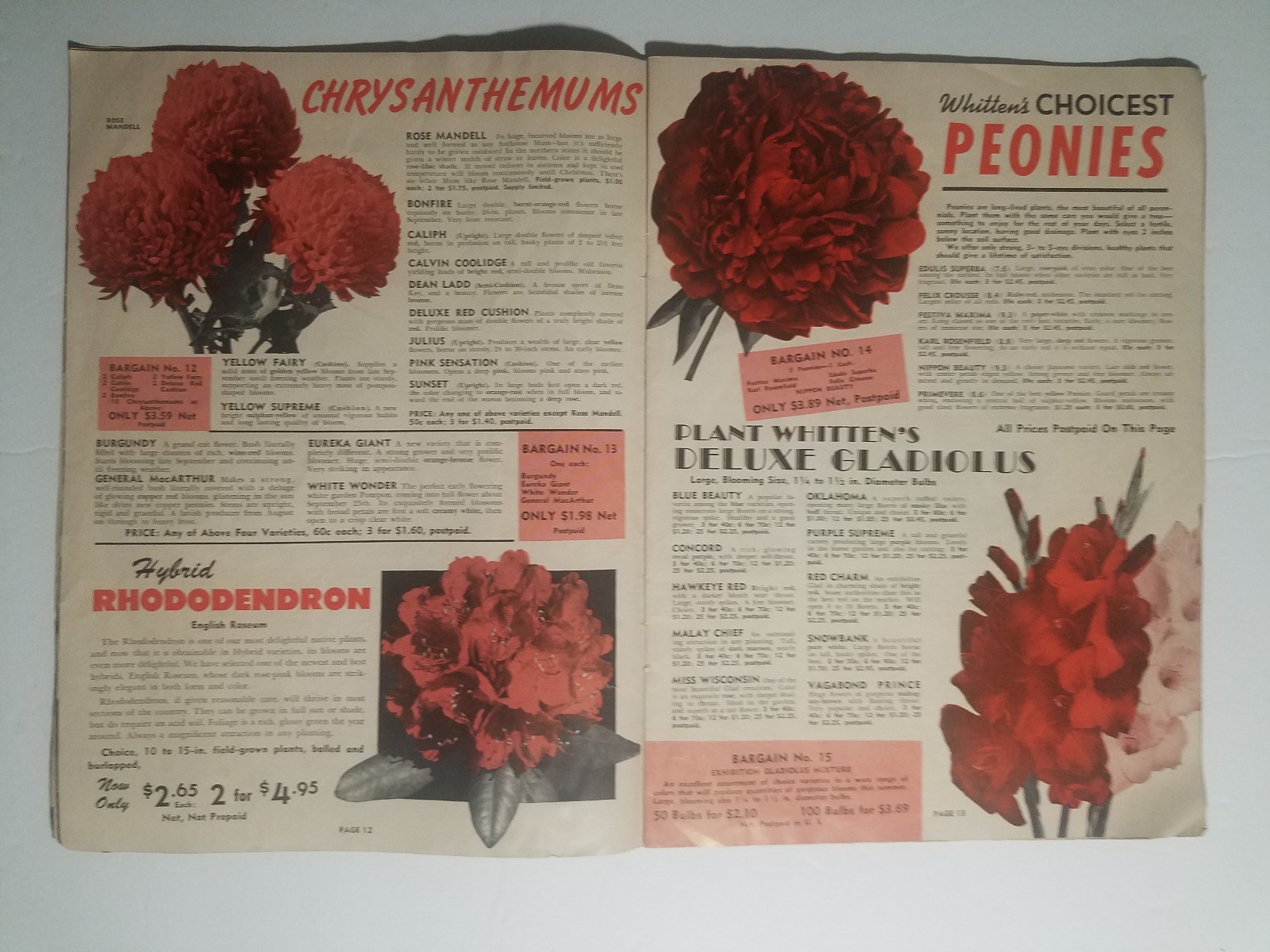 1955 Whitten Nurseries Catalog