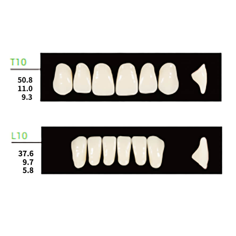 Dental Denture 112PCS T10 L10 36M All Shades Synthetic Polymer Resin False Teeth