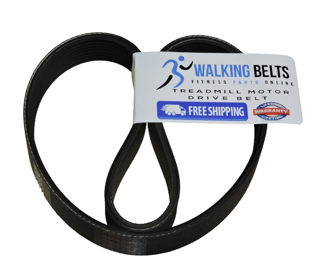 GGTL396151 Golds Gym Trainer 430i Treadmill Motor Belt