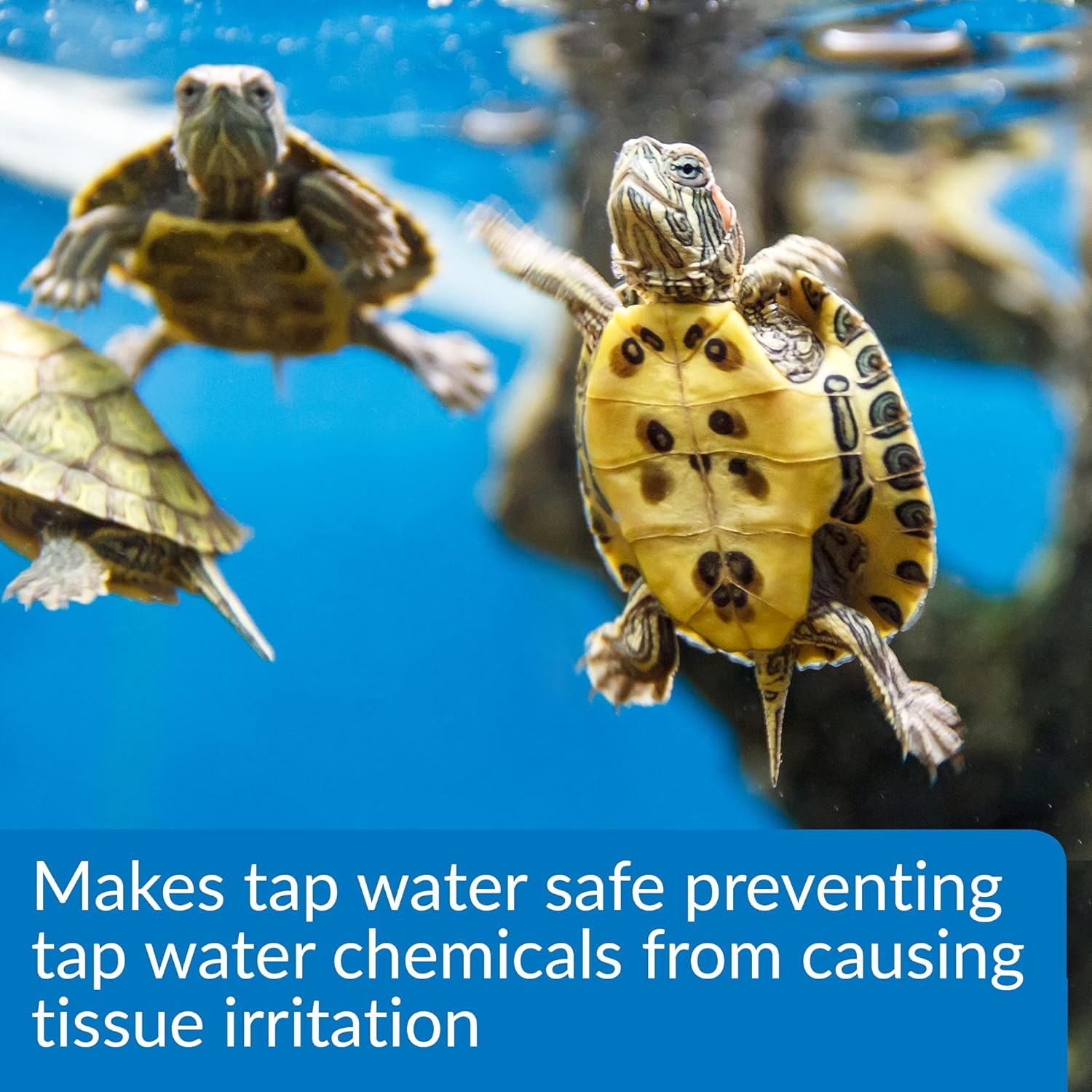 API TURTLE WATER CONDITIONER Water Conditioner 8-Ounce Bottle 8-Ounce, BLUE