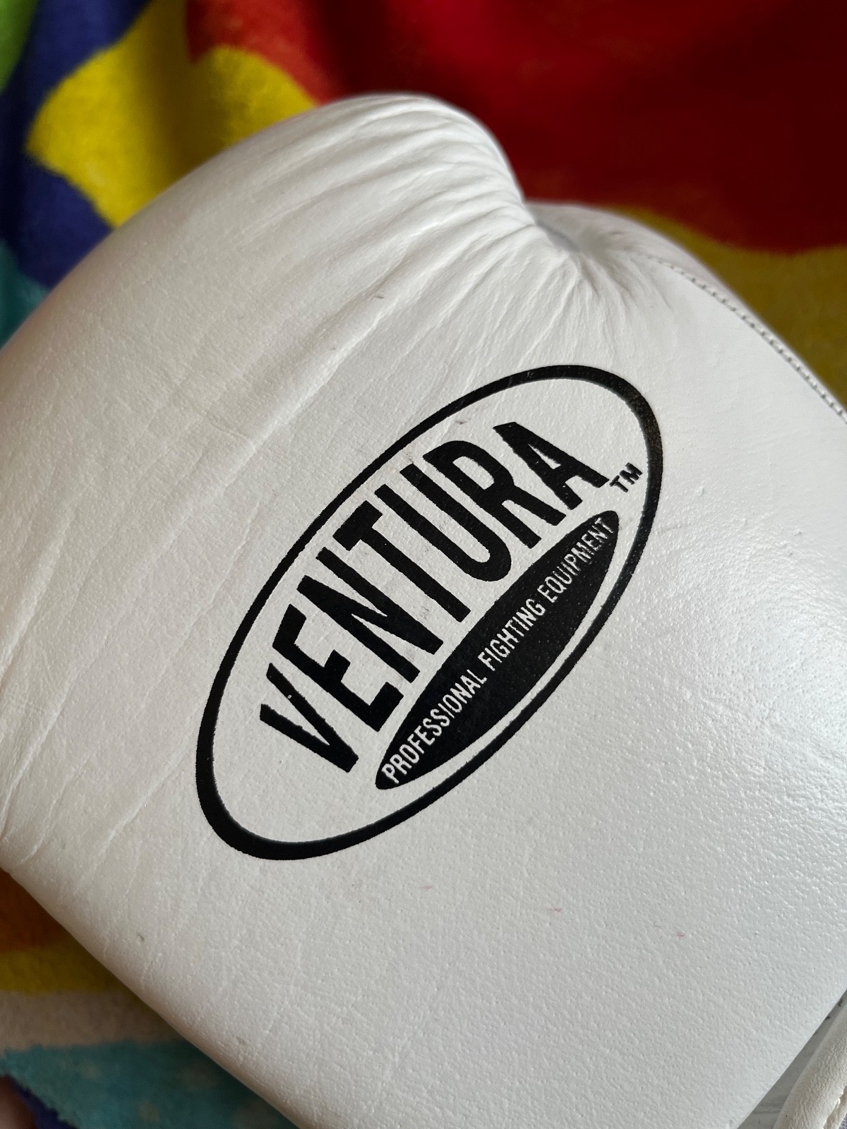 ventura gants de boxe