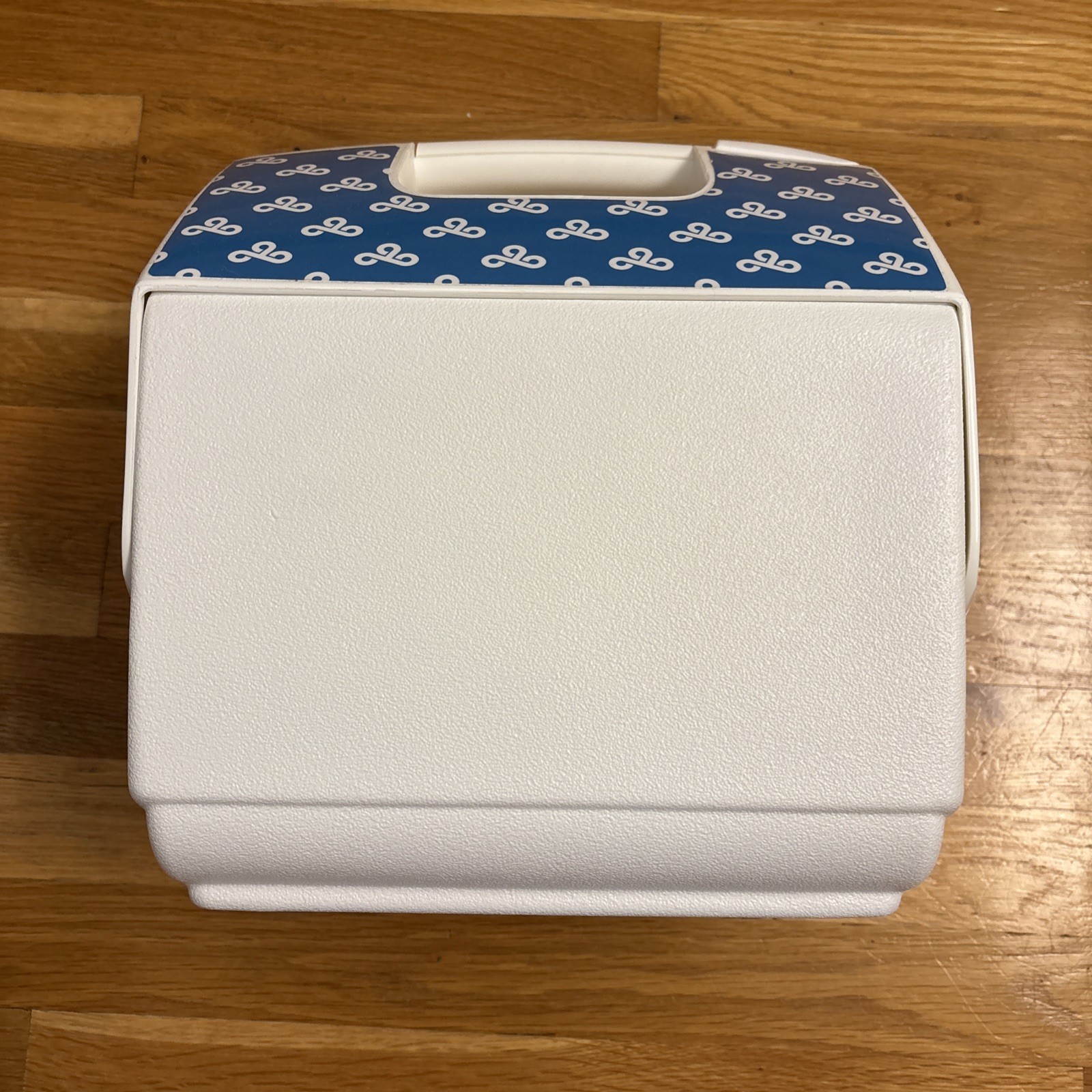 Igloo Cooler Cloud 9 Promotional Item