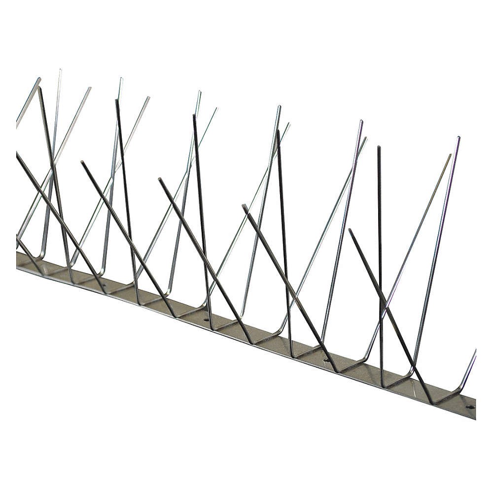 BIRD BARRIER BP-S250 Bird Repellent Spikes,51 ft L,2 1/2 in W 35HX39