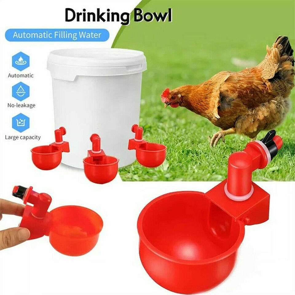 6Pcs Chicken Automatic Watering Cup Drinker Waterer for Duck Quail Hen Poultry