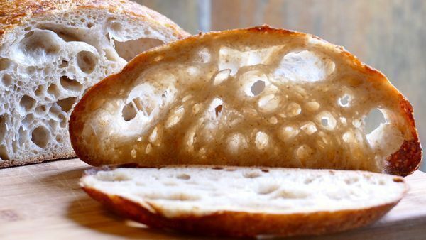San Francisco live sourdough yeast, make sourdough bread at home,  beast BONANZA