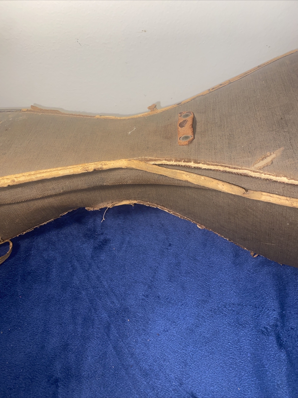 Antique Humpback Mandolin With Original Case